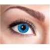 GMBH &amp; CO „Blue Star“ lęšiai, 12 mėnesių