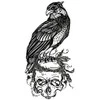 GMBH &amp; CO Paukščio ir kaukolės tatuiruotė.