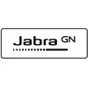 Ausinės JABRA EVOLVE2 50 USB C/A UC - MONO