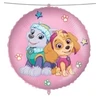 GoDan 18" Paw Patrol Skye ir Everest folijos balionai 92976