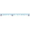 GoDan Banner Frozen 2: Wind Spirit - Happy Birthday