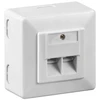 Goobay CAT 6 universali sieninė plokštė su ant sienos tvirtinamu rėmu, balta, RJ-45, balta, 125 V, 1,5 A, 0–70 °C, 1 vnt.