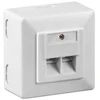 Goobay CAT 6 universali sieninė plokštė su ant sienos tvirtinamu rėmu, balta, RJ-45, balta, 125 V, 1,5 A, 0–70 °C, 1 vnt.