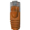 Goobay 95883, 15 m, Cat6, U/UTP (UTP), RJ-45, RJ-45, Šviesiai ruda