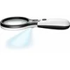 Goobay didinamasis stiklas su LED lempute 41255LED LED