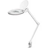 Goobay LED šviestuvas su gnybtu, 8 W