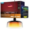 Govee Pendant light RGBICWW išmanusis pakabinamas šviestuvas, Matter (H60C1)
