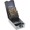 Thurmer Tools THÜRMER &amp; CO. Metalo grąžtas HSS kobalto grąžtų rinkinys 1,0–13,0 mm su 0,5 mm spyruoklinėmis svirtimis plieniniame lagaminėlyje