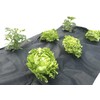 Home It HOME It®ukrudtsdug 10 meter 80 g/m²