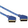 Hama 00029654, 1,5 m, SCART (21 kontakto), SCART (21 kontakto), auksinis, mėlynas, kištukas/kištukas