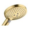 Hansgrohe rokas duša Raindance Select S 120 3jet, polished auksinis optic