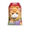 Happy Pets - Pretty Little Kitty – Walking &amp; Meowing Kitten Toy (Assorted)