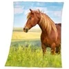 Herding Kocyk polarowy 130x160 Koń na łące 5108 Konik Horse pled dziecięcy