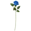Hisabjoker Ab Mėlyna rose, 50 cm