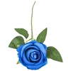 Hisabjoker Ab Mėlyna rose, 50 cm