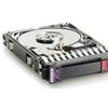 Hewlett Packard (HP) HP 300GB hot-plug dual-port SAS hard disk drive - 10,000 RPM