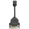 Hewlett Packard (HP) adapteris AV HP DisplayPort – DVI-D juodas (FH973AT)