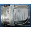 HP serverio diskas 1TB 3,5" SAS-1 (3Gb/s) (653947-001)