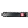 HP serverio diskas 160GB 3,5" SATA III (6 Gb/s) (483095-001)