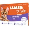 Eukanuba IAMS Delights Kitten vištiena padaže - šlapias kačių maistas - 12 x 85g