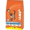 IAMS Adult Cat (žuvimi) 10kg