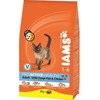 IAMS sausas maistas katėms su jūros žuvimi, 3kg