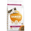 Iams CAT Vitality Senior vištiena 3kg