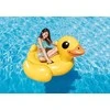 Pripučiamas žaislas INTEX Mega Yellow Duck Island, 147x147x81cm geltonas 57556NP
