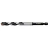Ironside Universalus grąžtas HM-spids 10,0x60/120mm HEX