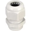 Jacob ISO-Verschraubung 5029M32PA10/7035 M32x1.5 lichtgrau
