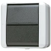 JUNG 807 W - Rocker switch - Wired - Juodas,Baltas - Thermoplastic - IP44 - 250 V