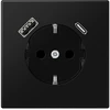 JUNG LS1520-15CASWM, F tipas, plastikas, IP20, 16 A, 50/60 Hz, 5 V