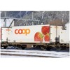 Kato KATO 7074103 Konteineris Coop Jordere WAB26 ir Salat WAB30
