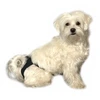 KRUUSE BUSTER Sanitary Pants juodas size 2