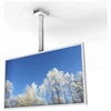 Laikiklis HI-ND CC4300-0201-01, balta, gulsčia, 109,2 cm (43"), lubinė, Samsung QM43C, LG UH5N-E, UM5N-H