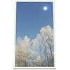 Laikiklis HI-ND WC5500-0201-01, Balta, Kraštovaizdžio dizainas, 139,7 cm (55"), Sieninis, Samsung QM55C – LG UM5N-E, UH5N-E, 1 vnt.