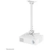 Laikiklis NEOMOUNTS PROJECTOR CEILING MOUNT (HEIGHT ADJUSTABLE: 74-114 CM) Baltas