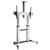 Laikiklis ROLINE 17031261, 152.4 cm (60"), 2.54 m (100"), 200 x 200 mm, 1000 x 600 mm, 5 - -10°, Sidabrinis