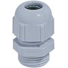 LAPP Poliamido kabelių laidininkas M25 IP68 SKINTOP ST-M 25x1.5 Šviesiai pilka 53111430