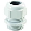 LAPP SKINTOP ST-M 32X1.5 RAL7035 LGY,PA9-21