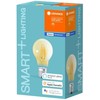 Ledvance 6W LED lemputė SMART+ Filament Classic Dimmable 52, E27, 2400K