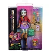 Lėlė su aksesuarais „Monster High Jinafirė“, HYV58