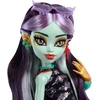 Lėlė su aksesuarais „Monster High Jinafirė“, HYV58