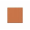 Lintex Nuotaikos siena, stiklinė, 750x750 mm
