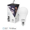 Vendora Nordic Ab Lite Bulb Moments A60 RGB 2700-6500K E27 9W baltos ir spalvotos atmosferos 3 vnt. pakuotėje