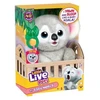 Moose interaktyvus žaislas Little Live Pets mažoji koala