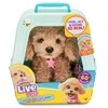 Little Live Pets - My Really Real Puppy - Curley (26612)