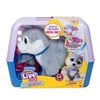 Little Live Pets Maži gyvi augintiniai – Ouchies Husky (26680)