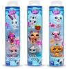 „Littlest Petshop“ „Littlest Pet Shop“ – trio augintinių tūboje, S3 (646)