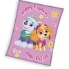 MCU Paw Patrol ''Happy explorer'' Coral Fleece tæppe - 130 x 170 cm